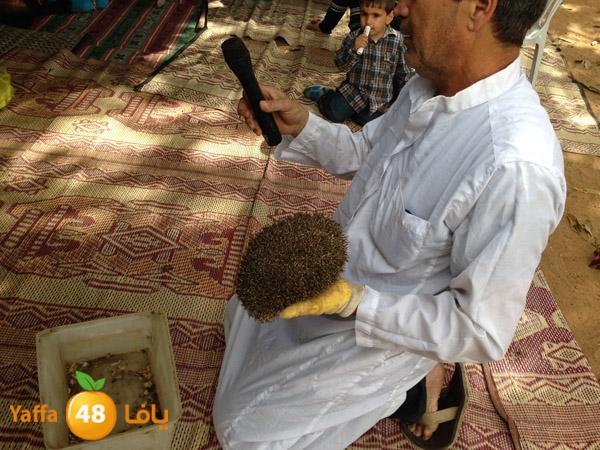 seyamkaber316jh (2).jpeg